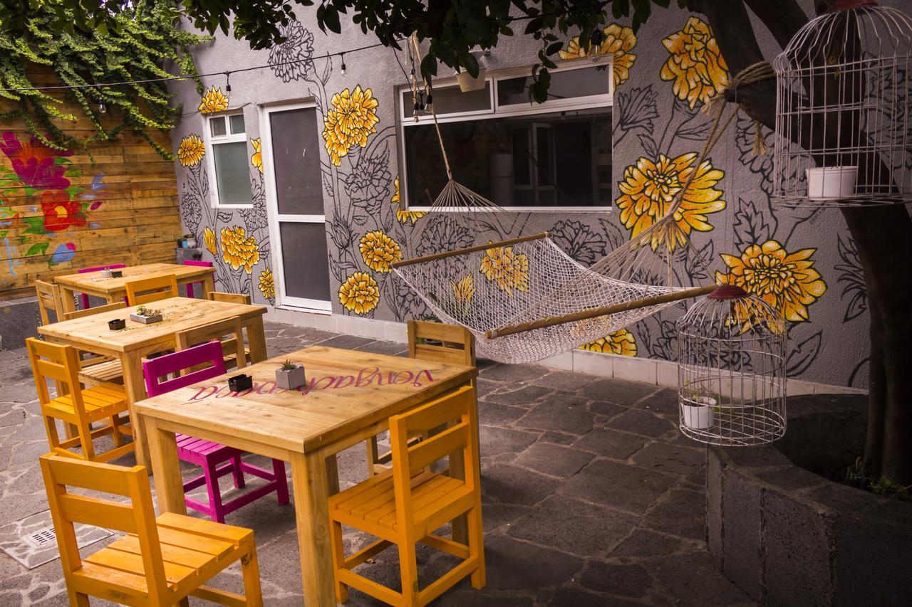 Casa Internacional Hotell Querétaro Exteriör bild